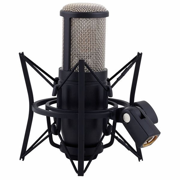 Akg P 220