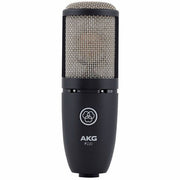 Akg P 220