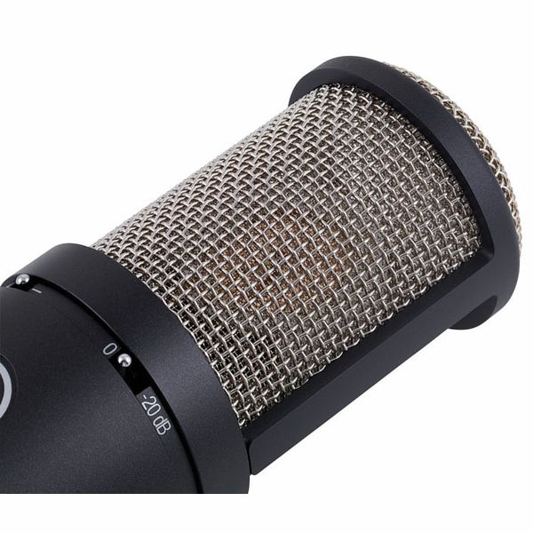 Akg P 220