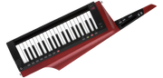 Korg RK-100S 2 RD
