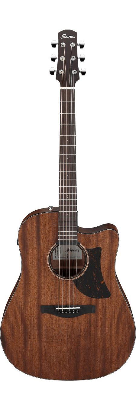 IBANEZ AAD190CE-OPN