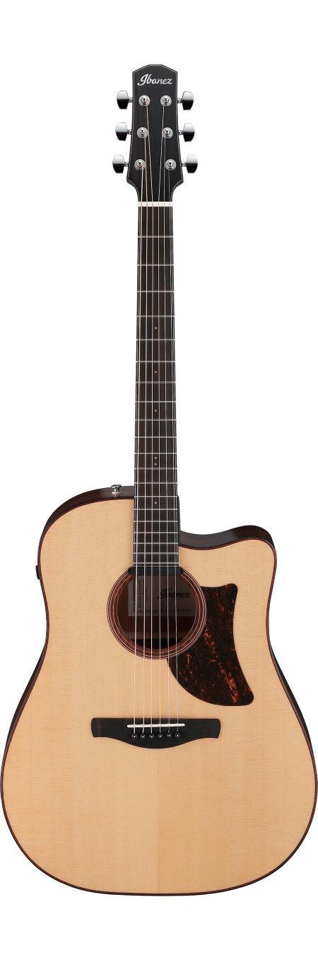 IBANEZ AAD300CE LGS