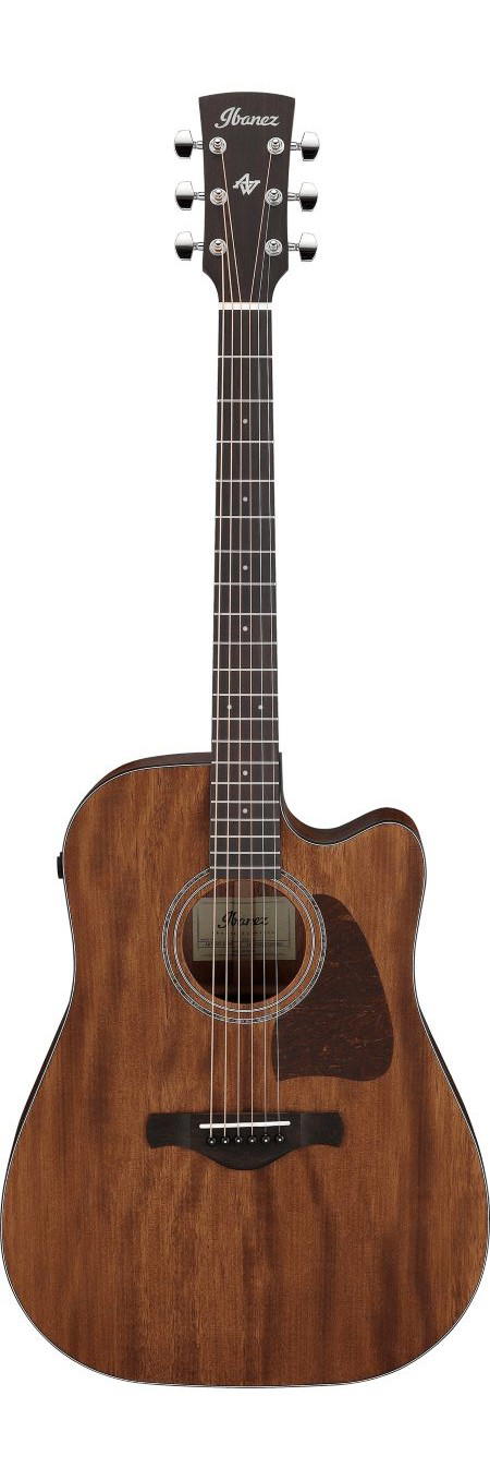 IBANEZ AW1040CE-OPN
