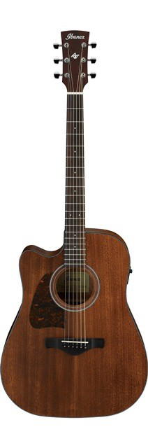 IBANEZ AW54LCE OPN