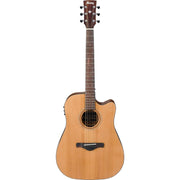 IBANEZ AW65ECE LG