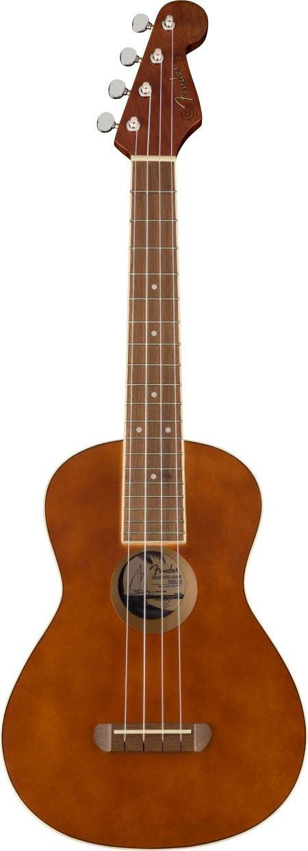 FENDER UKELELE AVALON TENOR NATURAL WN