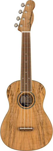 FENDER UKELELE ZUMA EXOTIC CONCERT SPALTE MAPLE WN