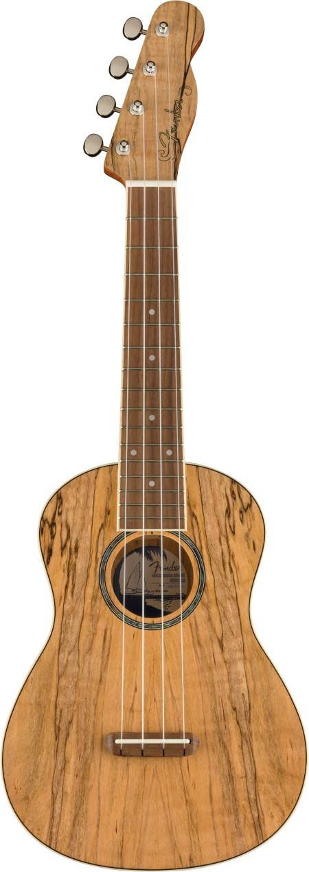 FENDER UKELELE ZUMA EXOTIC CONCERT SPALTE MAPLE WN