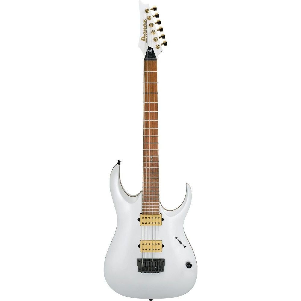 IBANEZ JBM10FX PWM