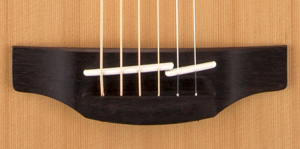 Takamine GD20-NS
