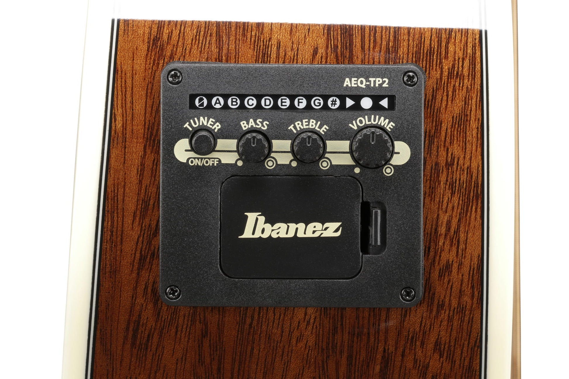 IBANEZ AC390CE NT