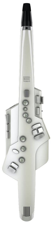 Roland AE-10