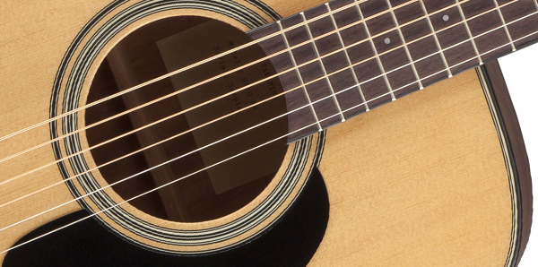 Takamine GD10-NS