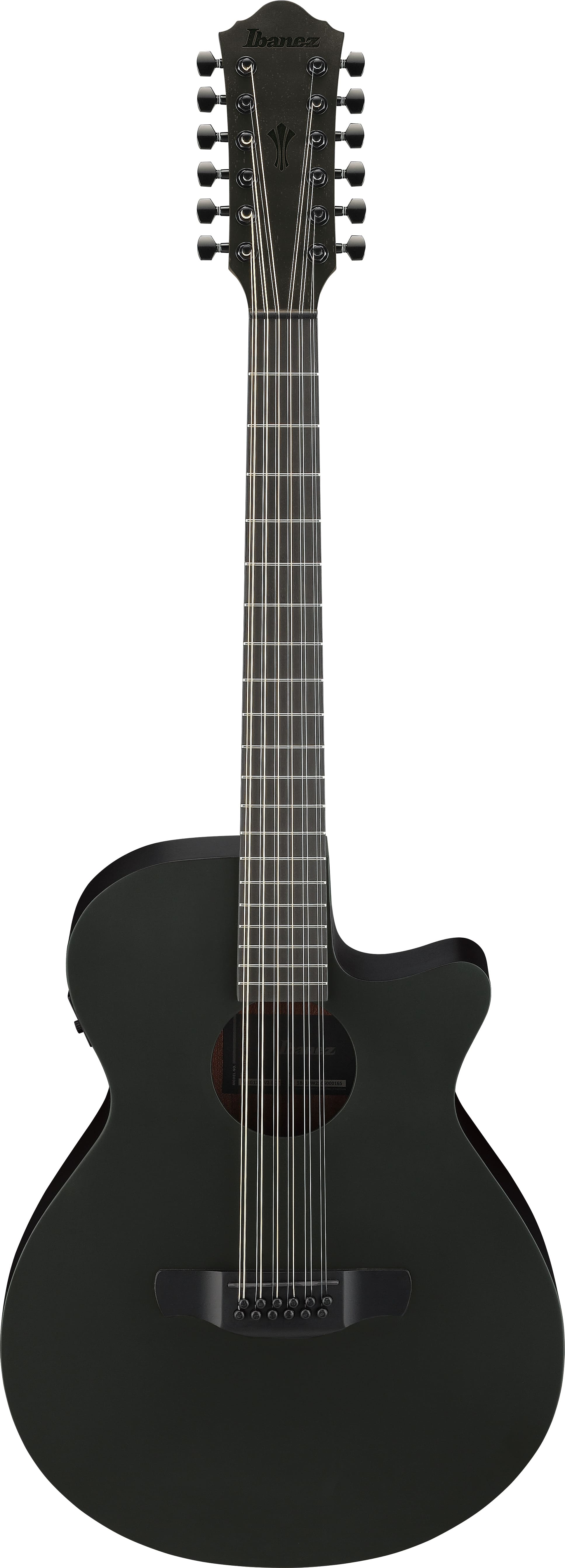 IBANEZ AEG1221 BOT