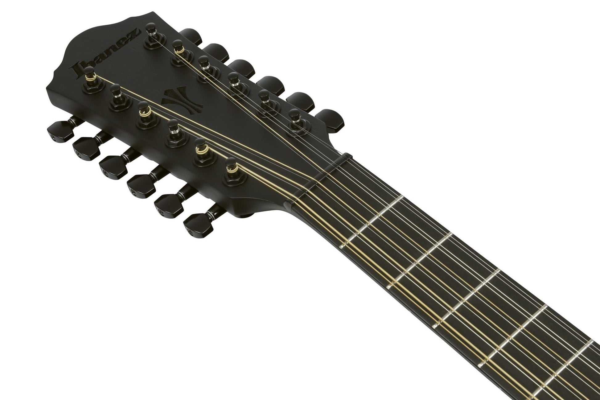 IBANEZ AEG1221 BOT