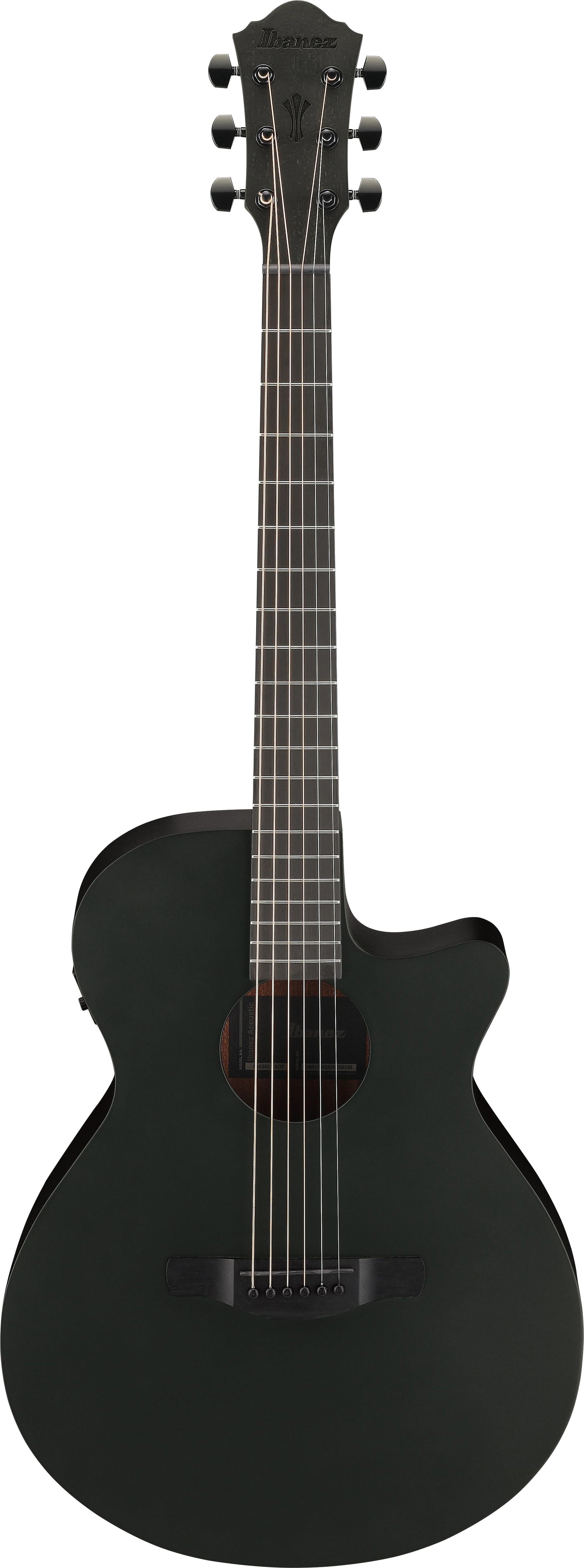IBANEZ AEG621 BOT