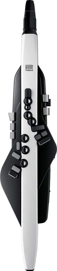 Roland AE-20 Aerophone