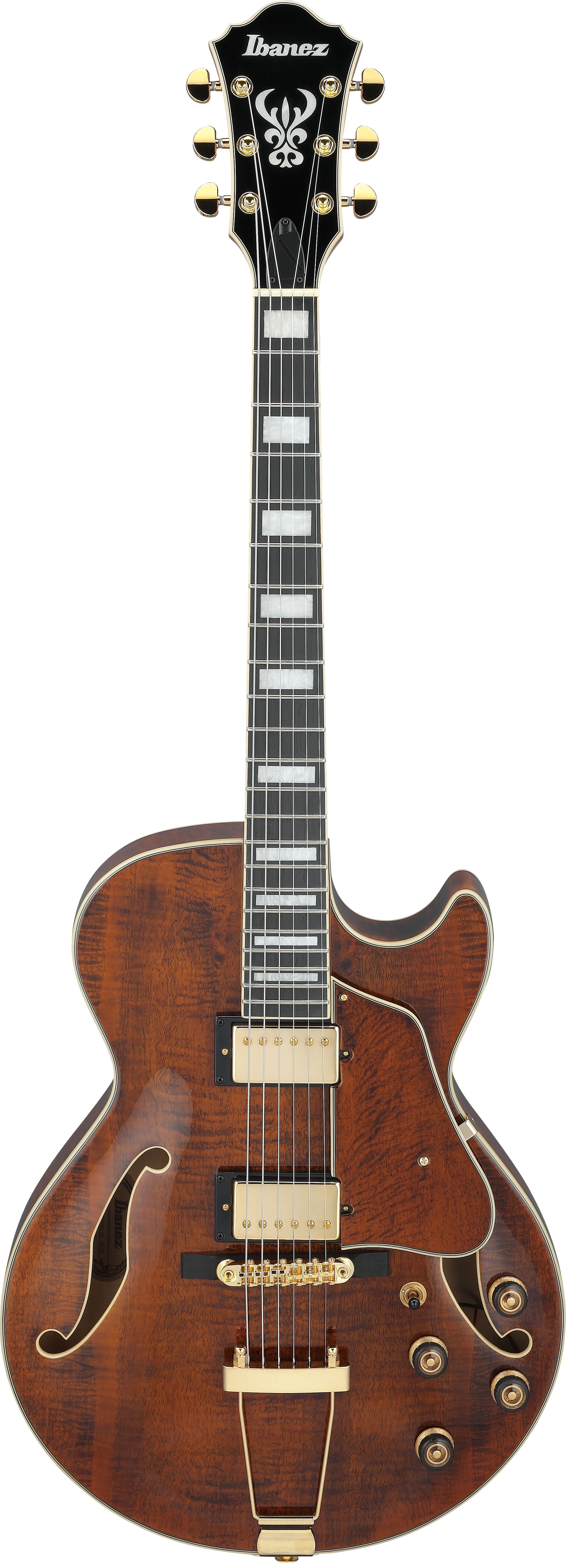 IBANEZ AG95MG DA