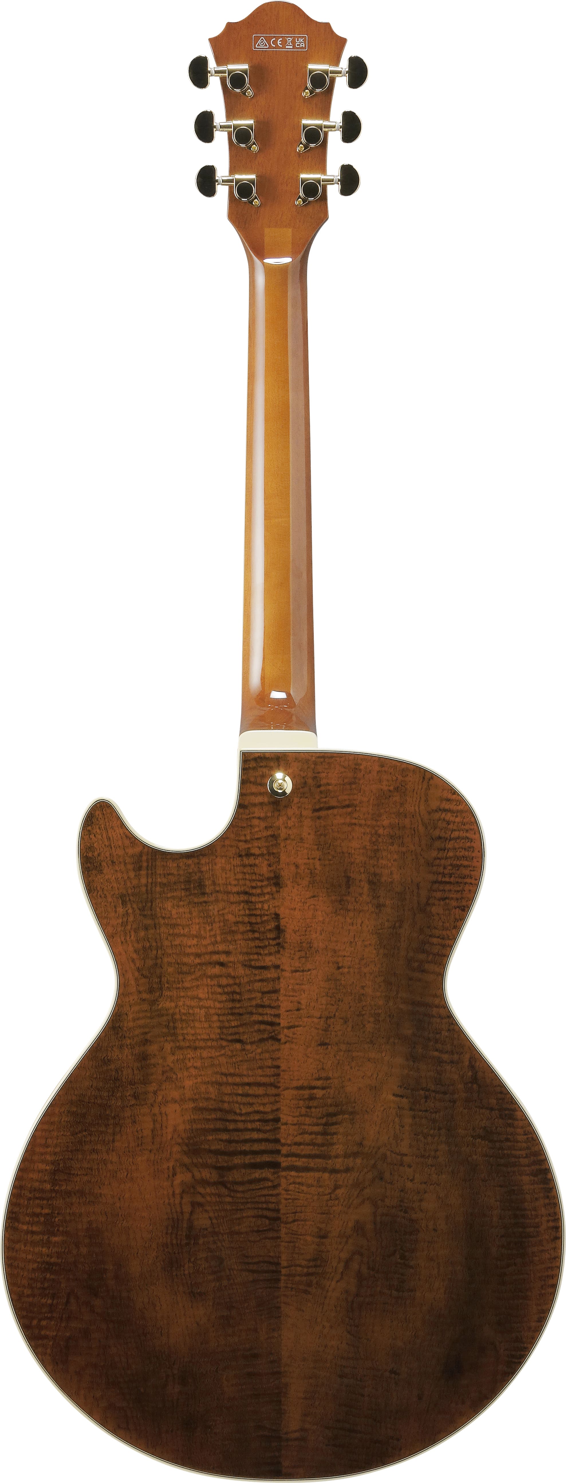 IBANEZ AG95MG DA