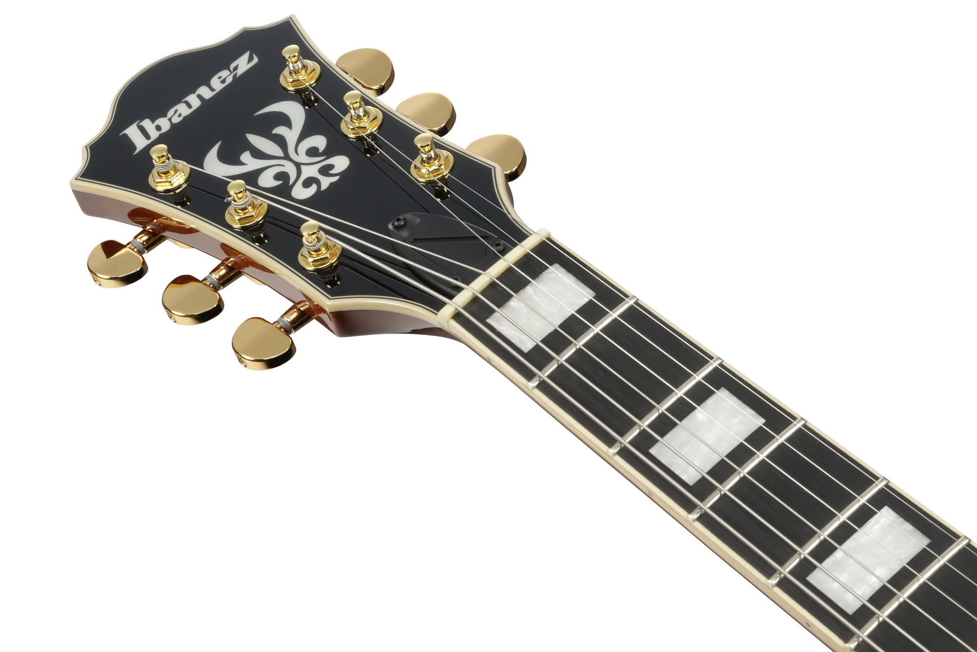 IBANEZ AG95MG DA
