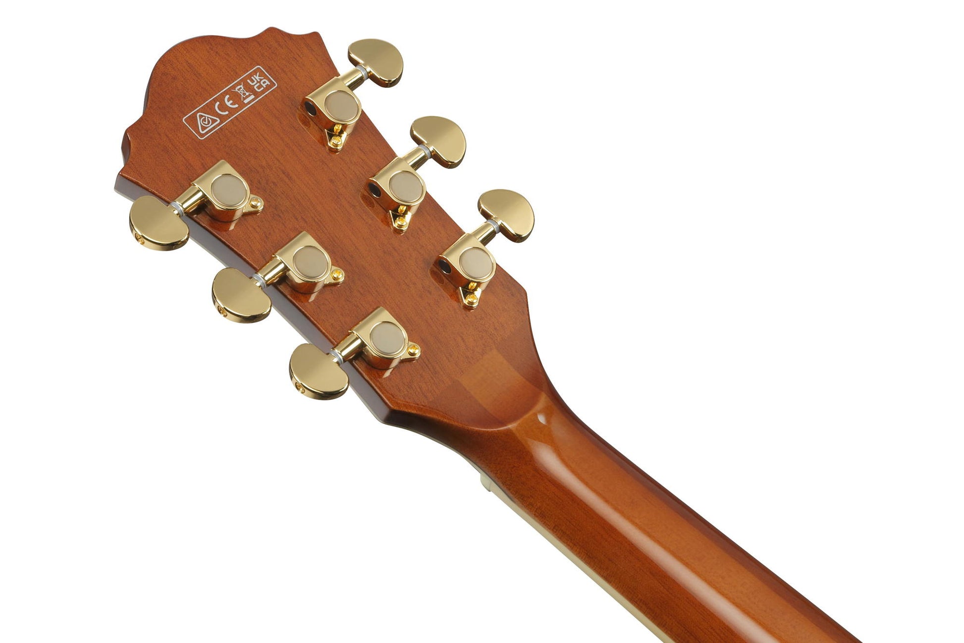 IBANEZ AG95MG DA