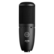 Akg P 120