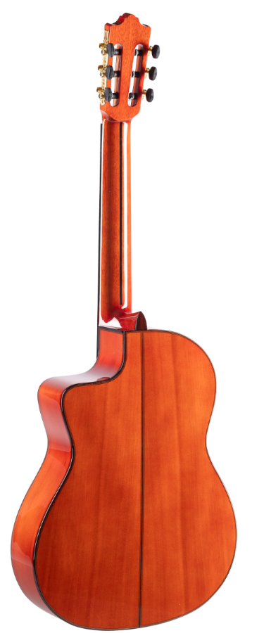 ADMIRA ALEGRIA ELECTRIFICADA CW FISHMAN
