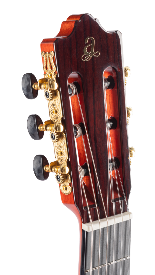 ADMIRA ALEGRIA ELECTRIFICADA CW FISHMAN