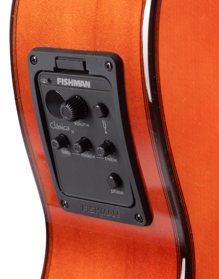 ADMIRA ALEGRIA ELECTRIFICADA CW FISHMAN