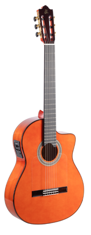 ADMIRA ALEGRIA ELECTRIFICADA CW FISHMAN