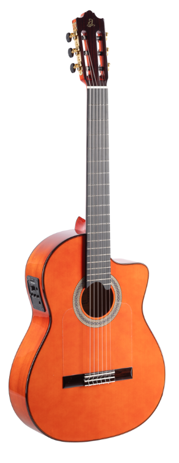ADMIRA ALEGRIA ELECTRIFICADA CW FISHMAN