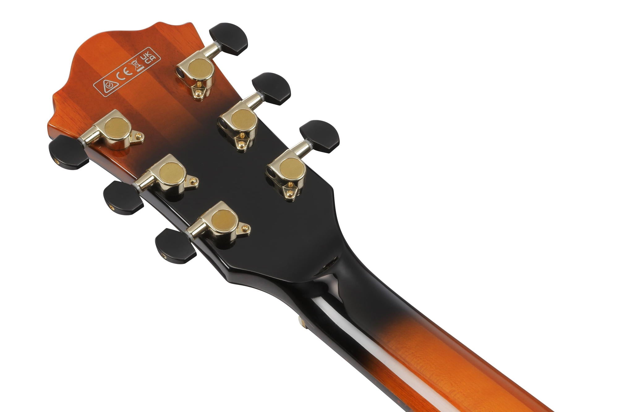 IBANEZ ASH300 TBC