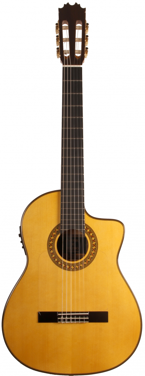 ANTONIO DE TOLEDO GUITARRA ATF17B CW FISHMAN