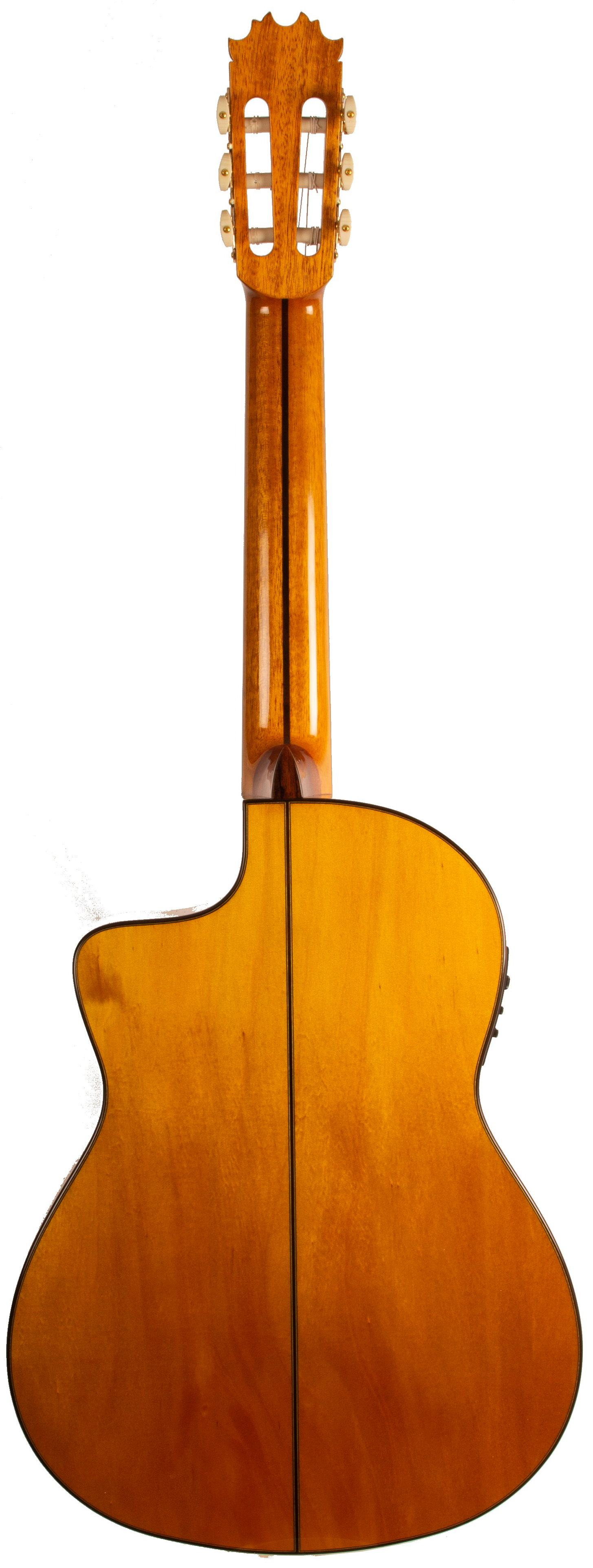 ANTONIO DE TOLEDO GUITARRA ATF17B CW FISHMAN