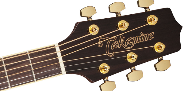 Takamine GD51CE-NAT