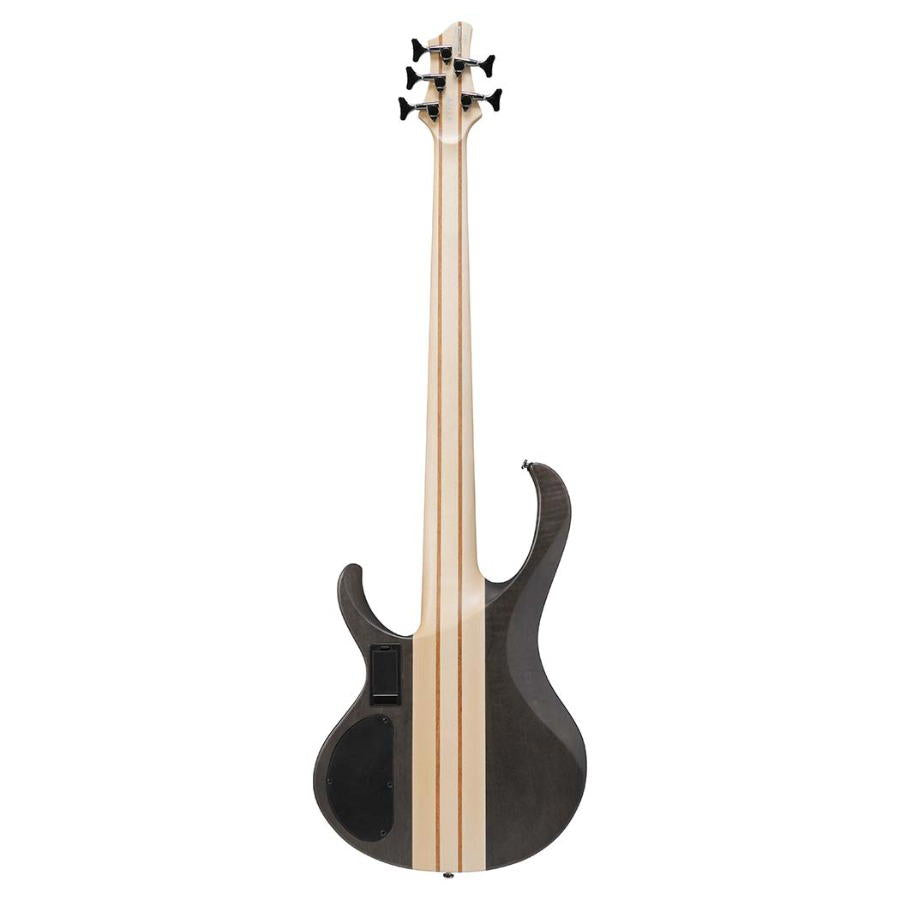 IBANEZ BTB605 TGF 