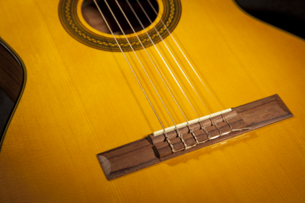 Takamine GC1CE-NAT