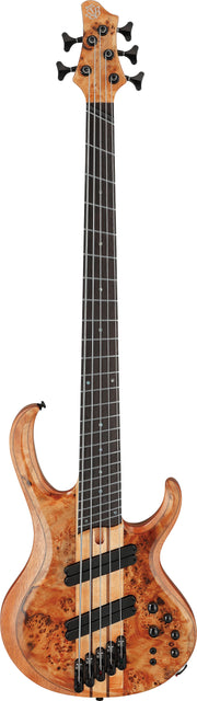 IBANEZ BTB805MS FNL