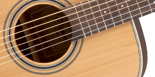 Takamine GD20-NS