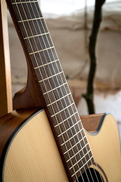 CORT Guitarra Cla Cec3 Ns