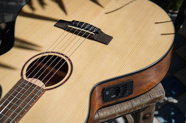 CORT Guitarra Cla Cec3 Ns