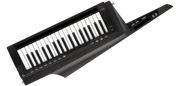 Korg RK-100S 2 BK