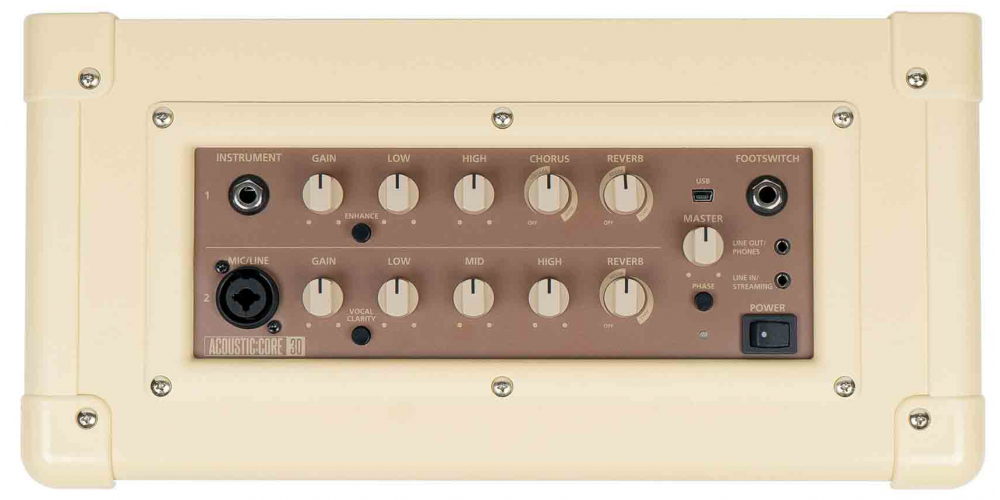 Blackstar Acoustic Core 30