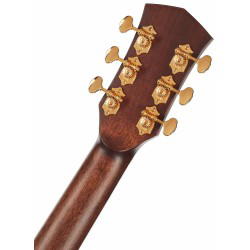 CORT Guitarra Acústica Gold-O8 Nat +Funda