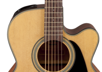 Takamine GN10CE-NS