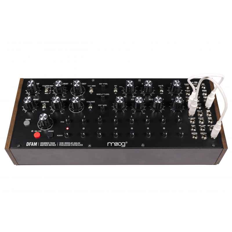 Moog DFAM