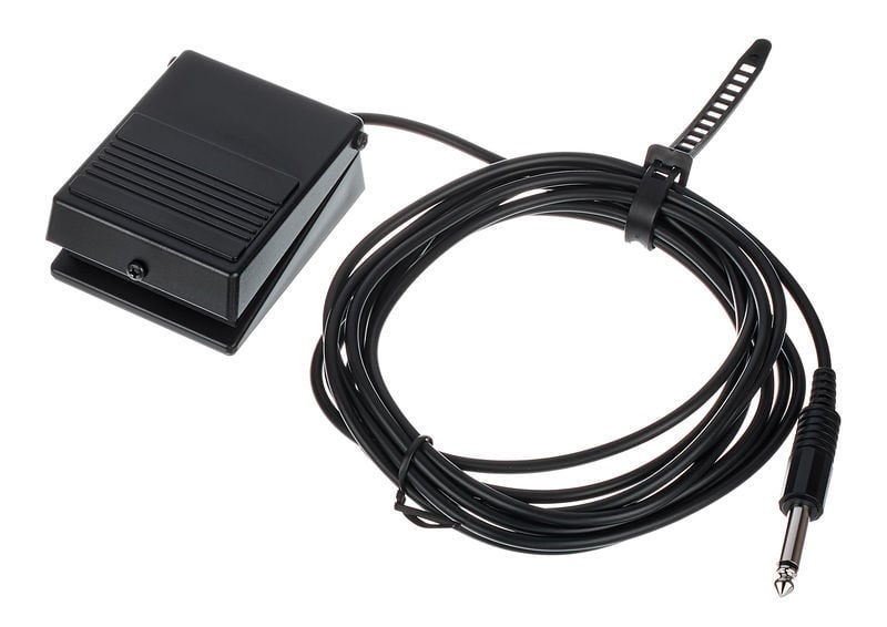Roland DP-2 