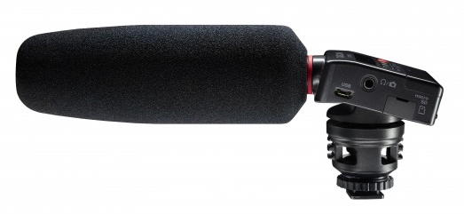 Tascam DR-10SG