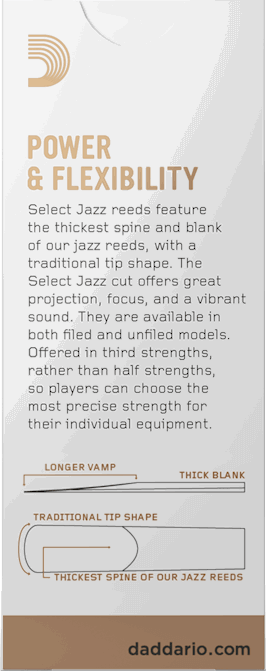 D'Addario Woodwinds Select Jazz Unfiled - Saxo Ten