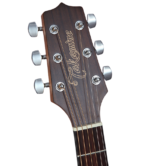 Takamine GD11M-NS